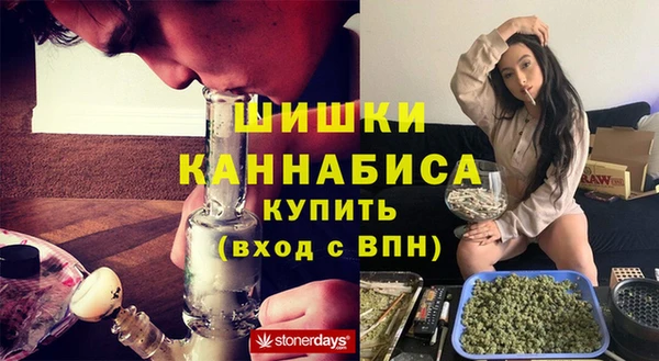 PSILOCYBIN Белоозёрский
