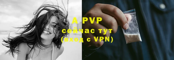 гашик Нефтекумск