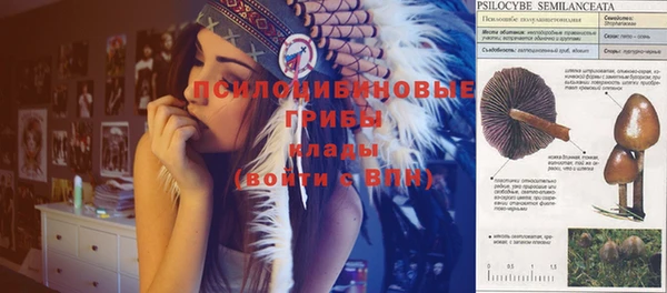 мет Новодвинск