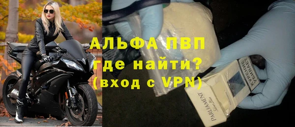 гашик Нефтекумск