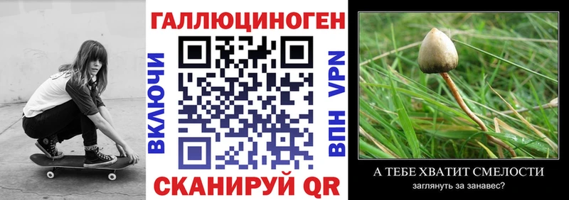 MEGA как войти  где найти наркотики  Лабытнанги  Галлюциногенные грибы Psilocybine cubensis 
