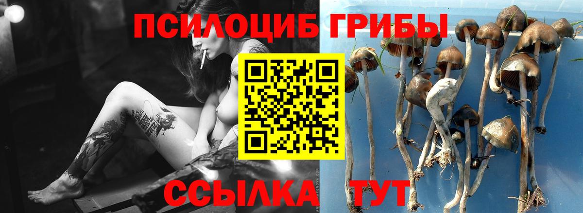 Галлюциногенные грибы мухоморы  Лабытнанги 